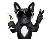 peace cocktail dog 