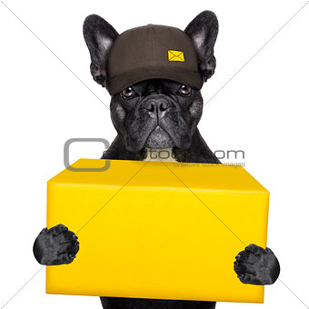 delivery post dog