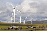 Wind Farm by Cattle Ranch in Washington State