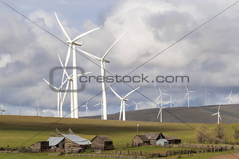 Wind Farm by Cattle Ranch in Washington State
