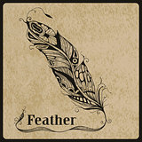 Vector Feather
