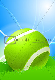 Tennis Ball on Daytime Background