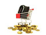 Shopping Cart with Coins and Wallet