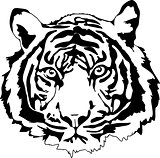 tiger head in black interpretation