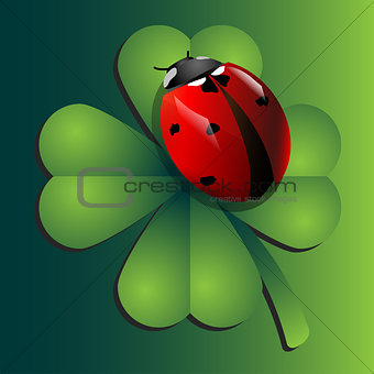 Ladybug on clover