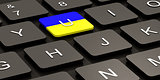 Ukrainian flag on button