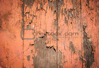 closeup of old wood planks texture background