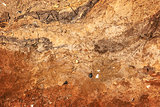 Wall cliff - clay brown soil