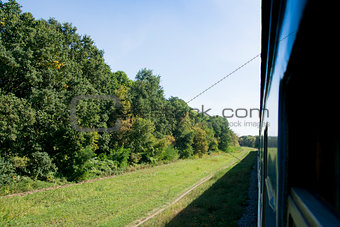 Passenger train rides through the forest. 