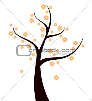 Spring Tree with orange flowers isolated on white