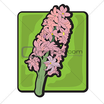 hyacinth clip art
