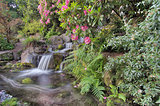 Garden Waterfall in Spring
