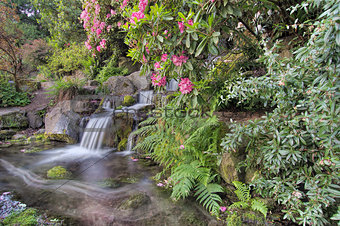 Garden Waterfall in Spring