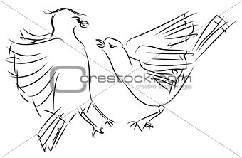 two sparrows fighting, sketch vector