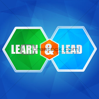 learn and lead in hexagons, flat design
