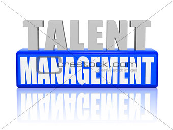 talent management in 3d letters and block