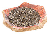 chia seeds on a pottery shard