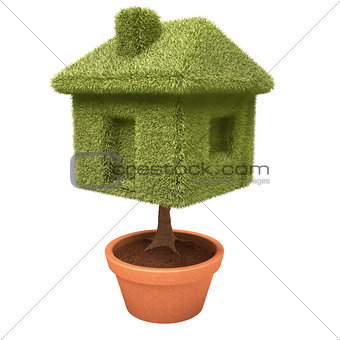 Cultivating House
