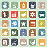 Spa flat icons on green background