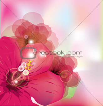 Romantic flower background