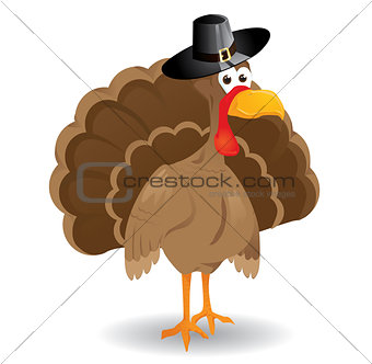 Vector Thanksgiving Turkey 