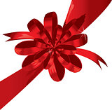 Big red holiday bow on white background 