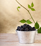 Blackberries with leaves on golden background