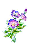 Spring flowers, watercolor illustration