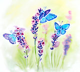 Painted watercolor card with summer lavender flowers and butterflies