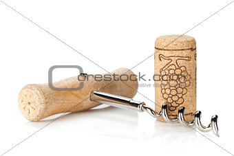 Cork and corkscrew