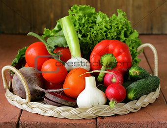 fresh spring vegetables - tomatoes, peppers, garlic, radishes, beets