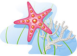 Underwater: starfish, coral, algae