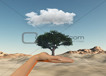 Hand holding tree under a rain cloud against a desert
