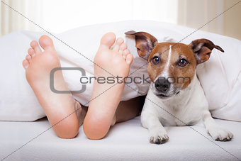 sleeping dog and owner