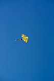Cheerful kite.