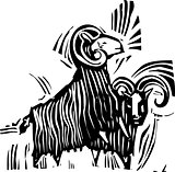 Two Rams