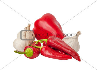 vegetables on the white background