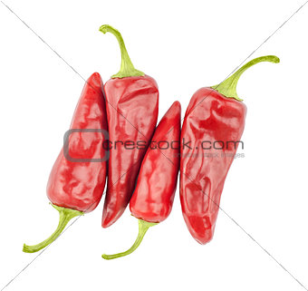red  peppers isolated on a white background
