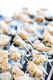 Chicken pieces on skewers