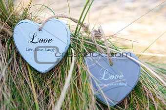 two love hearts on grassy dunes