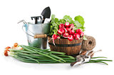 Fresh vegetables with garden tools