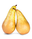 Two Ripe Pears