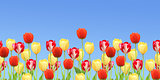 Border with tulips