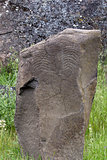 Native Indian Scorpion Petroglyph