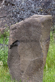 Native Indian Scorpion Petroglyph