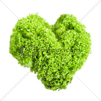 Fresh lettuce leaves in heart shape isolated