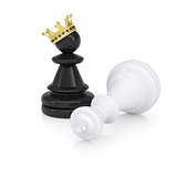 White defeated chess king is near black pawns