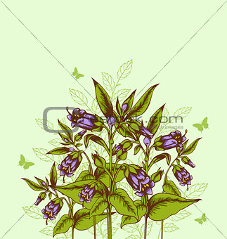 Background with bellflower