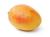 ripe yellow red mango