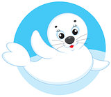 White-coat seal